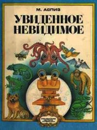 Увиденное невидимое - Аспиз Мирра Евсеевна (книги онлайн бесплатно серия .txt) 📗