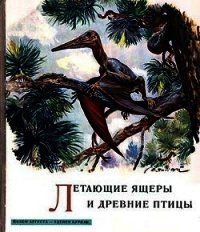 Летающие ящеры и древние птицы - Буриан Зденек (книги онлайн полные .TXT) 📗