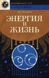 Энергия и жизнь - Печуркин Николай Савельевич (лучшие книги онлайн txt) 📗