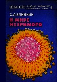 В мире незримого - Блинкин Семен Александрович (читать хорошую книгу полностью .txt) 📗