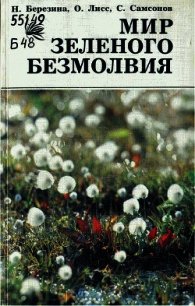 Мир зеленого безмолвия - Березина Наталья Александровна (книги онлайн читать бесплатно txt) 📗