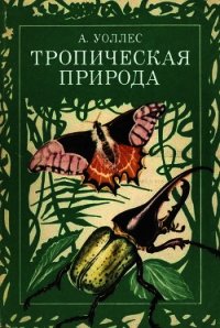 Тропическая природа - Уоллес Альфред Рассел (читать онлайн полную книгу TXT) 📗