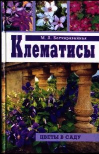 Клематисы - Бескаравайная Маргарита Алексеевна (лучшие книги без регистрации .TXT) 📗