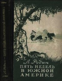 Пять недель в Южной Америке - Родин Леонид Ефимович (книги бесплатно без регистрации TXT) 📗