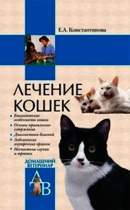 Лечение кошек - Константинова Екатерина Александровна (первая книга .TXT) 📗