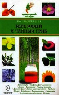 Березовый и чайный гриб - Башкирцева Нина Анатольевна (книги онлайн без регистрации полностью .txt) 📗