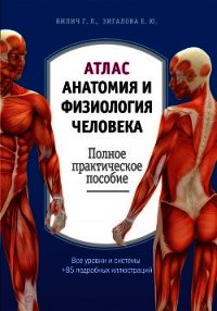 Атлас: анатомия и физиология человека. Полное практическое пособие - Зигалова Елена Юрьевна (е книги txt) 📗