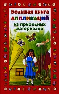 Большая книга аппликаций из природных материалов - Дубровская Наталия (книги читать бесплатно без регистрации полные TXT) 📗