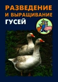 Разведение и выращивание гусей - Мельников Илья (книги бесплатно без регистрации TXT) 📗