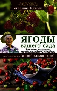 Ягоды вашего сада. Земляника, смородина, малина, крыжовник, жимолость - Кизима Галина Александровна