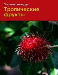 Тропические фрукты - Пугачёва Екатерина (книги бесплатно .txt) 📗