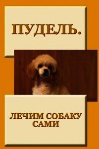 Пудель. Лечим собаку сами - Мельников Илья (читать книги онлайн без регистрации TXT) 📗