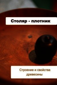 Столяр-плотник. Строение и свойства древесины - Мельников Илья (читаем книги онлайн бесплатно полностью .TXT) 📗