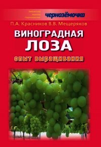 Виноградная лоза. Опыт выращивания - Красников Петр Алексеевич (читать книги онлайн бесплатно полностью без .txt) 📗