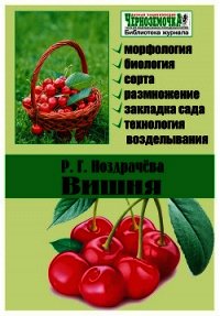 Вишня - Ноздрачева Р. Г. (читаем книги бесплатно .TXT) 📗