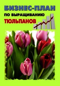 Бизнес-план по выращиванию тюльпанов - Шешко Павел (читать полные книги онлайн бесплатно .txt) 📗