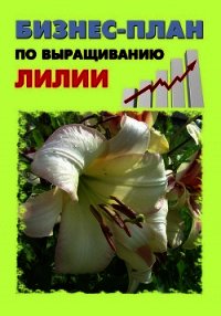 Бизнес-план по выращиванию лилии - Бруйло А. С. (читать книги онлайн регистрации .TXT) 📗