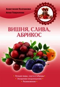 Вишня, слива, абрикос - Колпакова Анастасия Витальевна (бесплатные полные книги TXT) 📗