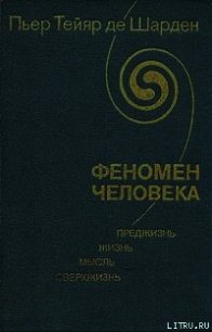 Феномен человека - де Шарден Пьер Тейяр (читать книги онлайн полностью без регистрации .TXT) 📗