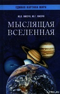 Мыслящая Вселенная - Мизун Юрий Гаврилович (первая книга txt) 📗
