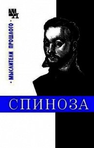 Спиноза - Соколов Василий Дмитриевич (е книги .txt) 📗