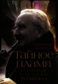 Тайное Пламя. Духовные взгляды Толкина - Колдекот Стрэтфорд (книги онлайн полностью .txt) 📗