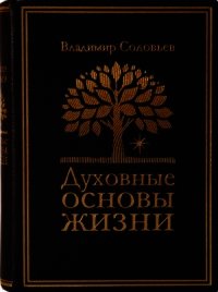 Духовные основы жизни - Соловьев Владимир Сергеевич (книги онлайн бесплатно TXT) 📗