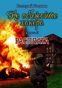 Расплата. Не обижайте хакера (СИ) - Галкин Валерий (книги бесплатно без регистрации txt) 📗