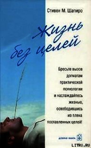 Жизнь без целей - Шапиро Стивен М. (читаем книги бесплатно TXT) 📗