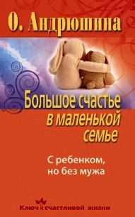 Большое счастье в маленькой семье. С ребенком, но без мужа - Андрюшина Ольга (бесплатные версии книг txt) 📗