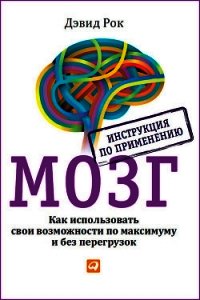 Мозг во сне. Что происходит с мозгом, пока мы спим - Рок Андреа (бесплатные книги онлайн без регистрации txt) 📗