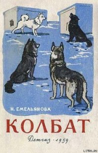 Колбат - Емельянова Нина Александровна (читаем книги TXT) 📗