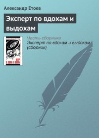 Эксперт по вдохам и выдохам - Етоев Александр Васильевич (электронные книги бесплатно .TXT) 📗