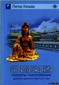 Око возрождения - Кэлдер Питер (читать книги бесплатно полные версии .txt) 📗