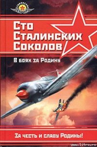 Сто сталинских соколов. В боях за Родину - Фалалеев Федор Яковлевич (книги полностью txt) 📗