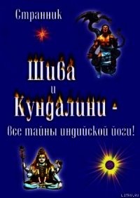 Шива и Кундалини. Все тайны индийской йоги - Смирнов Терентий Леонидович "Странник" (первая книга txt) 📗