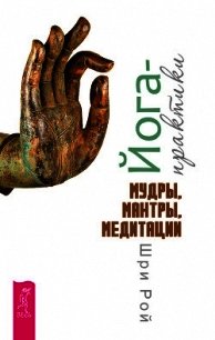 Йога-практики. Мудры, мантры, медитации - Рой Шри (книга регистрации txt) 📗