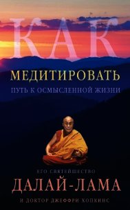 Как медитировать. Путь к осмысленной жизни - Далай-лама XIV (читать полностью бесплатно хорошие книги TXT) 📗