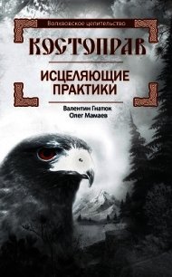 Костоправ. Исцеляющие практики - Гнатюк Валентин Сергеевич (полные книги txt) 📗