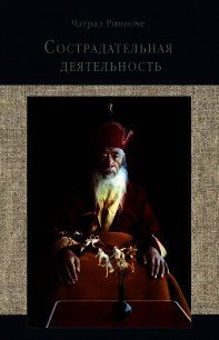 Сострадательная деятельность - Ринпоче Чатрал (полные книги .txt) 📗