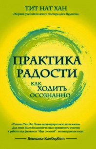 Практика радости. Как ходить осознанно - Хан Тит (книги бесплатно без .TXT) 📗