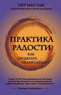 Практика радости. Как отдыхать осознанно - Хан Тит (книги регистрация онлайн txt) 📗