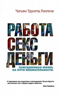 Работа, секс, деньги. Повседневная жизнь на пути внимательности - Ринпоче Чогьям (книги полные версии бесплатно без регистрации .TXT) 📗