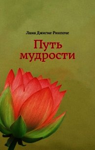 Путь мудрости - Ринпоче Джигме (читать книги онлайн бесплатно серию книг .TXT) 📗