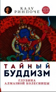 Тайный буддизм. Том III. Глубина Алмазной колесницы - Ринпоче Калу (книги онлайн TXT) 📗