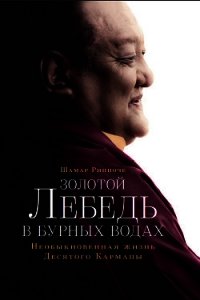 Золотой лебедь в бурных водах. Необыкновенная жизнь Десятого Кармапы - Ринпоче Шамар