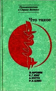 Что такое дзэн? - Блис Реджинальд Хорас (читать книги полностью без сокращений .TXT) 📗