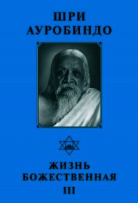 Шри Ауробиндо. Жизнь Божественная – III - Ауробиндо Шри (читать книги онлайн txt) 📗