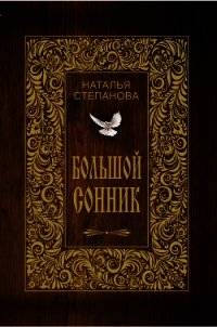 Большой сонник - Степанова Наталья Ивановна (е книги txt) 📗