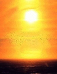 Методика «Солнечная медитация» - Михайлов Елисей (книга регистрации .txt) 📗